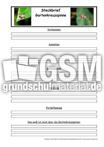 Gartenkreuzspinne-Steckbriefvorlage.pdf